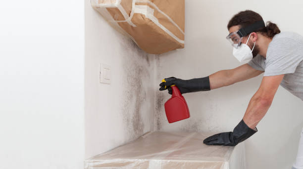 Professional Mold Cleanup technician working in Clayton, NC