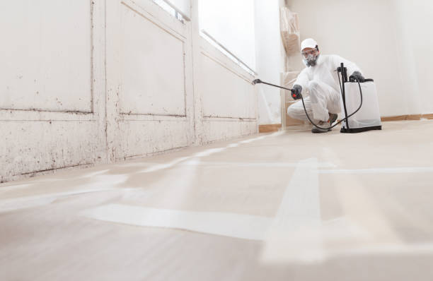 24/7 Emergency Mold Cleanup experts in Clayton, NC