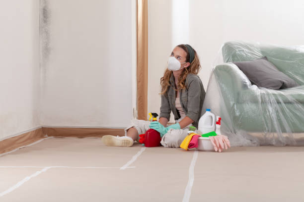 Reliable Mold Cleanup contractor in Clayton, NC by WQB Mold Removal